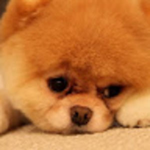 Meet your Posher, Ayesha